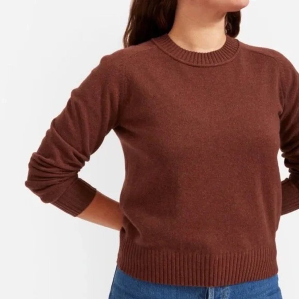 EVERLANE The ReCashmere Vintage Crew Wool Recycled Cashmere Sweater Maroon Large